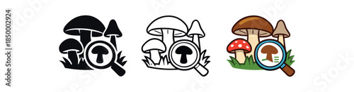 mushroom foraging identification magnifier card for mushroom lovers