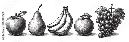 A detailed, hand-drawn style illustration of various fruits including an apple, pear, bananas, another apple, and grapes on a white background.