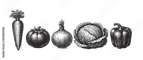 A detailed line art illustration in a vintage engraving style showcases a collection of fresh vegetables including a carrot, tomato, onion, cabbage, and bell pepper against a clean white background.