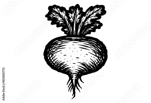 A striking black and white sketch of a fresh beetroot with leafy greens, rendered in a hand-drawn, rustic style. Perfect for food blogs, healthy eating guides, or organic product branding.