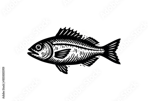 A simple black and white illustration of a fish, rendered in a linocut style with visible textures and detail. The fish is depicted in profile against a clean white background.