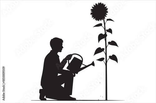 A silhouette of a man watering a tall sunflower in a garden