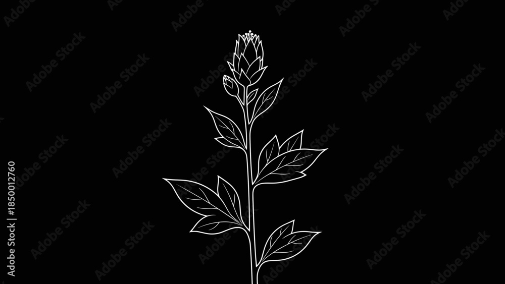 Fototapeta premium Simple White Outline of a Plant.