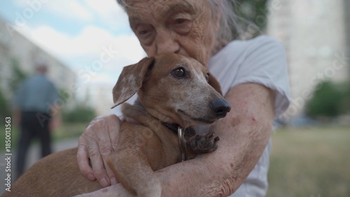 Animal theme is a lonely old woman best friend. Caucasian 90 years old senior female is happy to spend time with her pet small dachshund dog, holding her in her arms, hugging hugs and kisses outdoor.