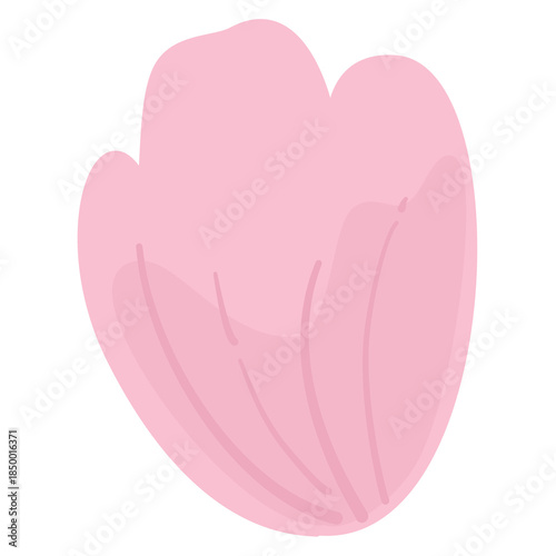 pink, tulip people, blue tulip, tulip festival, spring, red tulip, tulips, botanical, decoration, flowers, blossom, nature, tulips type, purple tulip, tulip illustration, tulip icon, tulip, pink tulip
