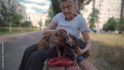 Happy senior woman holds a small dachshund dog in her arms, smiles hugs, presses and shows love to her pet on a bench in the park. Female 90 years old spends time with her best friend pet on street.