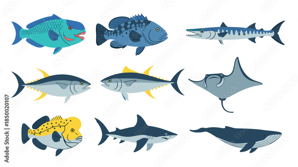 Fototapeta premium Colorful marine life collection featuring diverse ocean fish and sea creatures