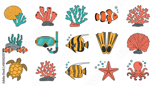 Colorful marine life and diving equipment collection