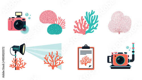 Marine life exploration tools and coral patterns in vibrant style