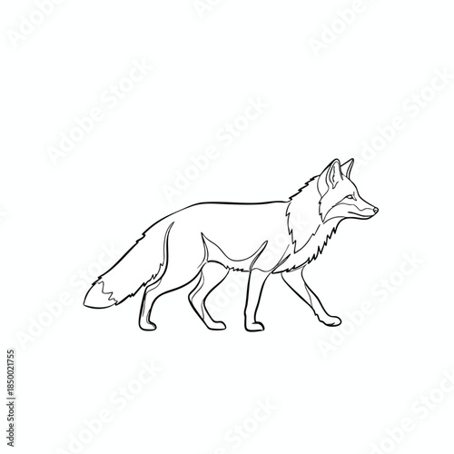 A black and white line drawing of a fox walking in profile