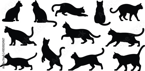 Cat silhouette collection domestic feline movement poses black animal vector illustration isolated on white background pet behavior design