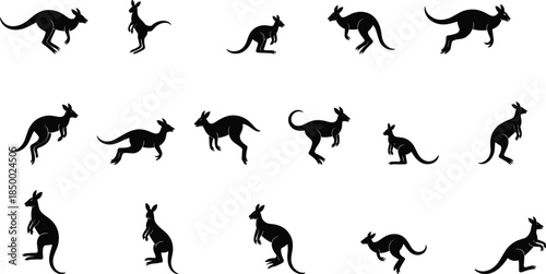 Kangaroo silhouette collection jumping marsupial poses Australian wildlife animal vector illustration isolated on white background nature design