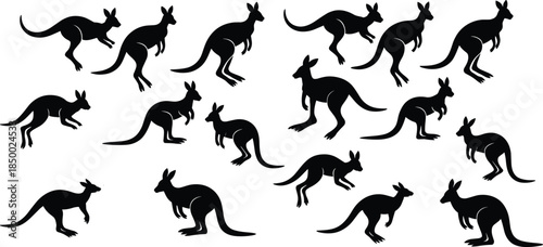 Kangaroo silhouette set jumping marsupial movement poses Australian wildlife animal vector illustration isolated on white background nature collection