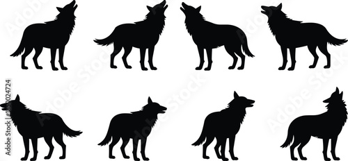 Wolf silhouette collection howling wild canine poses black animal vector illustration isolated on white background wildlife nature design