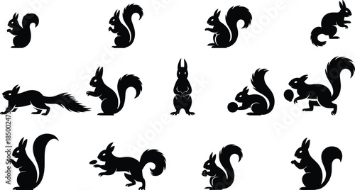 Squirrel silhouette collection cute woodland animal poses black vector illustration isolated on white background wildlife cartoon design