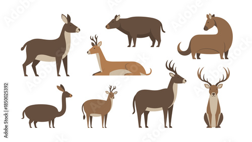 Various Deer Species Vector Illustrations Collection.
