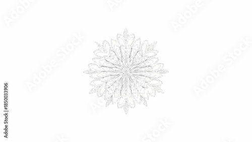A delicate snowflake is intricately designed with a complex pattern on a white background