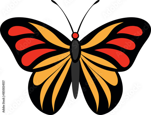 Vibrant Common Jezebel Butterfly with Red Orange and Yellow Wing Patterns for Artistic Use
