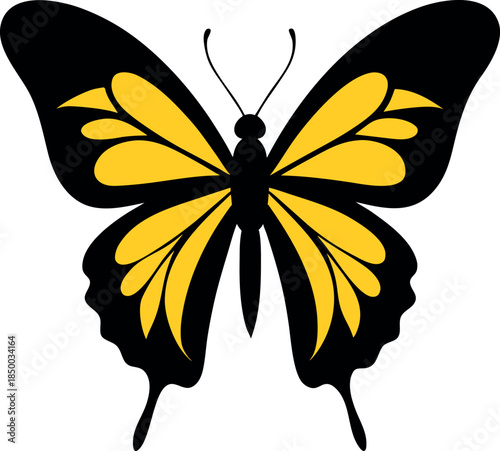Common Jezebel Butterfly with Yellow Accents and Symmetrical Black Wings for Nature and Art Themes