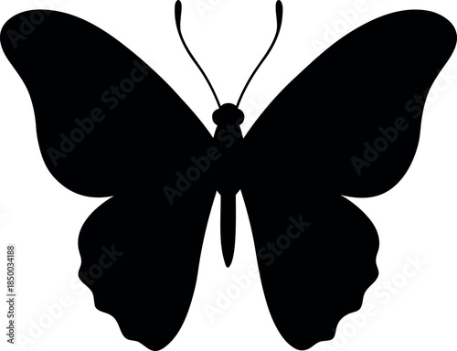 Solid Black Silhouette of Common Jezebel Butterfly for Symbolic and Artistic Applications