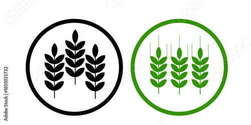 Agricultural wheat ears illustration symbolizing farming and rural production. Wheat ears design, farm and agriculture concept.