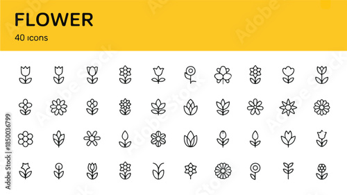 A comprehensive collection of 40 minimalist line art flower icons, offering a diverse array of elegant floral symbols for modern design projects
