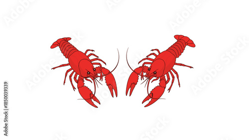 Two vibrant red crayfish are depicted facing each other on a clean white background, showcasing their detailed anatomy and unique features.
