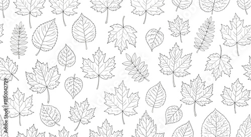 Seamless background pattern featuring various black and white line art outlines of different deciduous tree leaves on a white field.