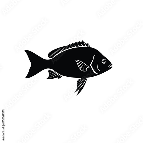 Black Fish Silhouette Vector Illustration