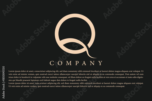 Abstract monogram letter Q logo icon design.
