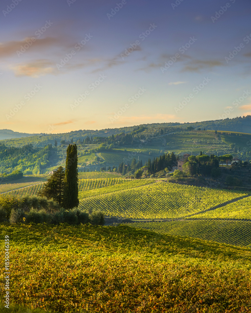 Fototapeta premium Autumn Chianti Vineyards near Panzano, Tuscany, Italy