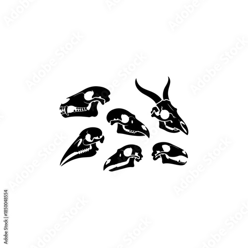 cat, animal, illustration, vector, cartoon, black, kitty, art, drawing, silhouette