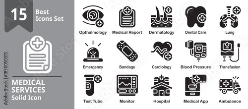 Medical Services Icon set. Including service, ambulance, emergency, appointment, diagnosis, treatment and more. Solid vector icons collection. Vector Illustration.