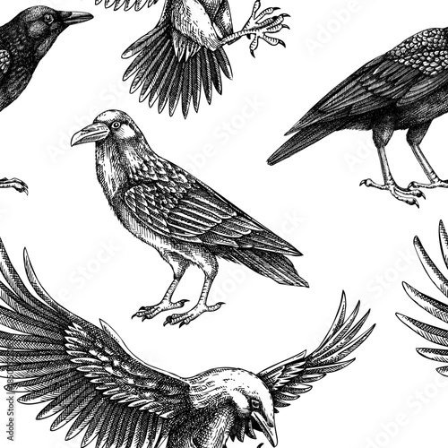 Crown seamless pattern in sketch style. Vintage raven hand drawn vector illustration. Large black bird background. NOT AI generated