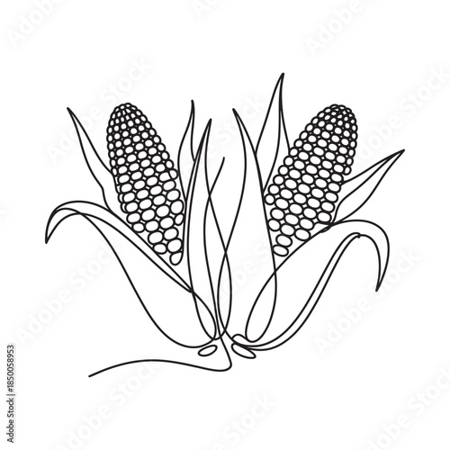 Simple line drawing of two corn cobs with green leaves presented