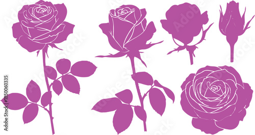 Vintage pink rose floral seamless pattern vector illustration with blooming flowers and green leaves for nature inspired spring valentine decoration design