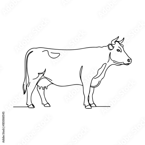 Hand drawn cow silhouette outline for illustration.