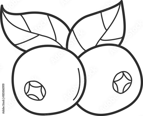 outline illustration of