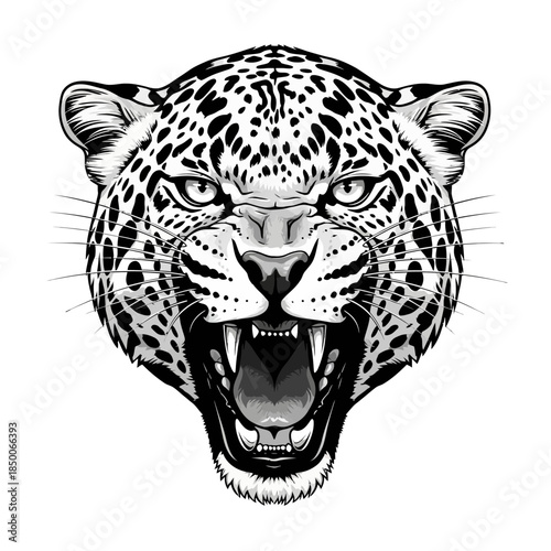Black and White Illustration of Leopard Head.