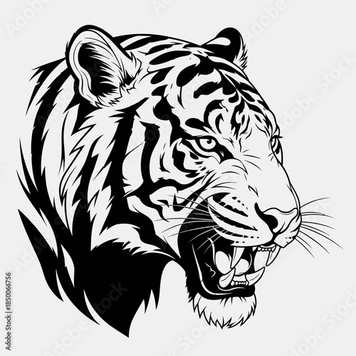 Black and White Tiger Head Illustration.