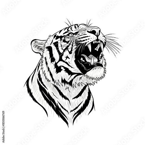 Black and White Tiger Head Illustration.