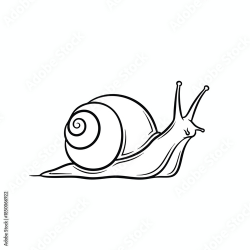 A line art snail in profile, displaying shell, body, and antennae on a white background