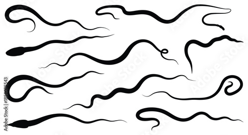 Sperm cells moving in different directions on white background