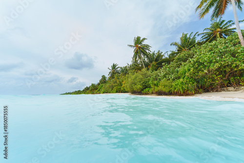 Fototapeta Naklejka Na Ścianę i Meble -  Palm trees and clean, transparent turquoise water on the Beautiful maldives tropical island - Panorama