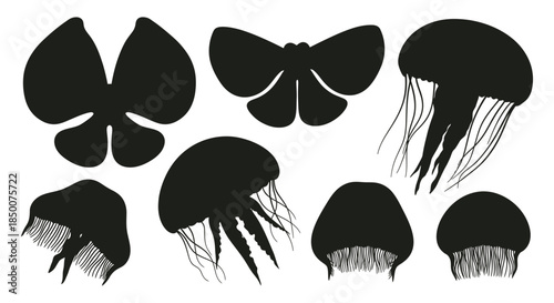 Black silhouettes of jellyfish and butterflies on white background