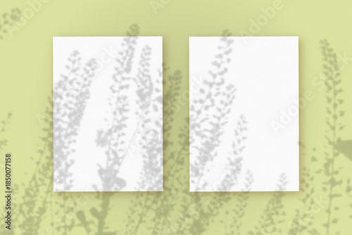 Wallpaper Mural Natural light casts shadows from wildflowers on 2 vertical sheets of white paper lying on a green background. Mockup Torontodigital.ca