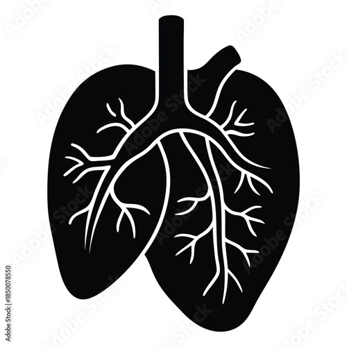 organ transplant vector on white background