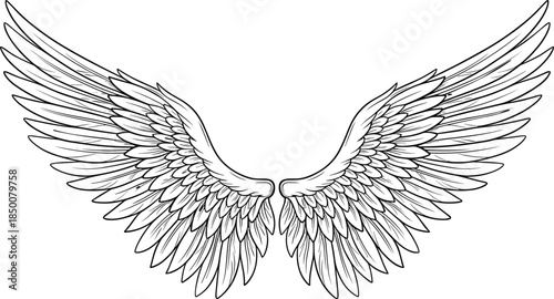 Detailed black and white line art illustration of a pair of large feathered angel wings spread open bird