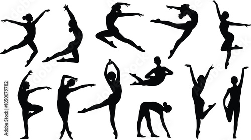 Diverse Black Silhouettes of Ballet Dancers Performing Various Graceful Movements on White pose