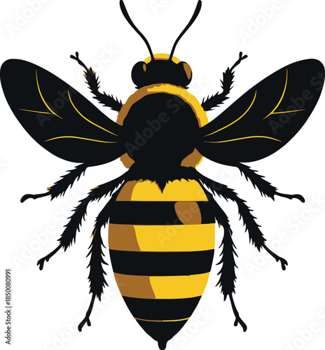 Vector art of a detailed illustration of a bee in midflight, isolated on white background